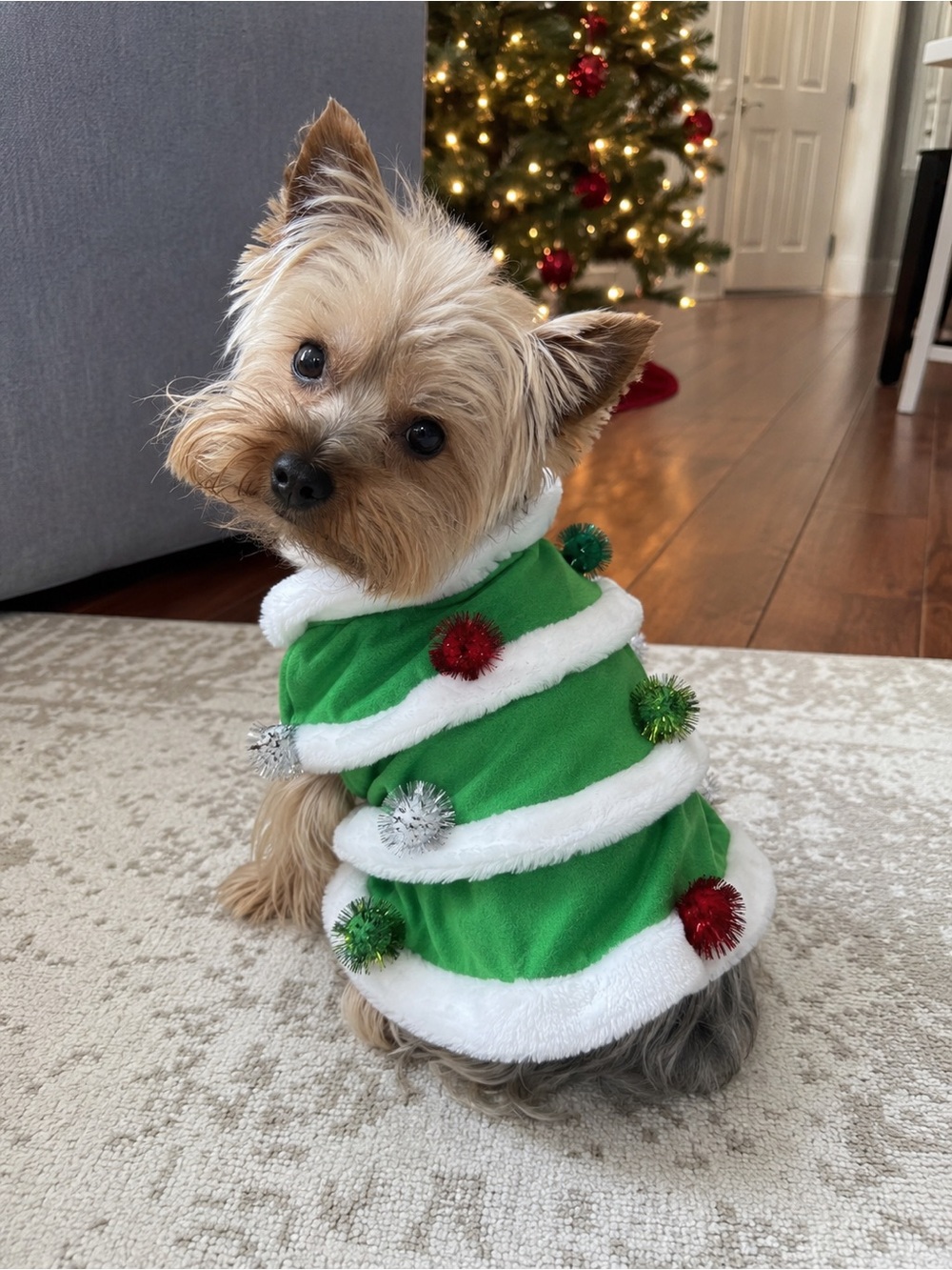 🎄🐶 Christmas Tree Dog Sweater Dress Green Holiday Pet Outfit 🐶